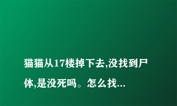 
猫猫从17楼掉下去,没找到尸体,是没死吗。怎么找回来啊

