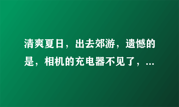 清爽夏日，出去郊游，遗憾的是，相机的充电器不见了，所以一直没有用，在飞虎乐购可以寻到电池吗？ 卡西欧