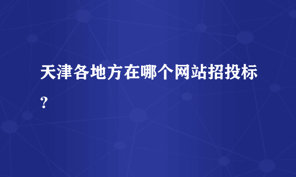 天津各地方在哪个网站招投标？