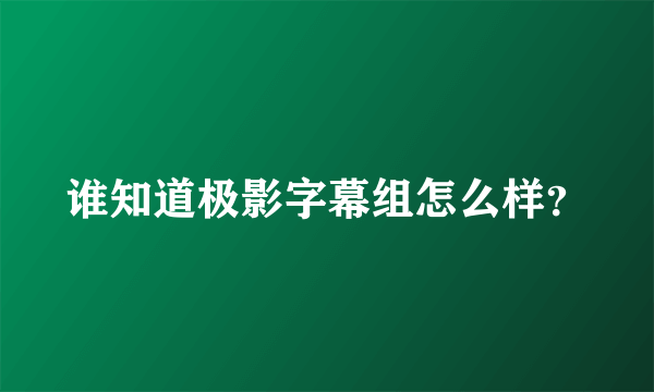 谁知道极影字幕组怎么样？