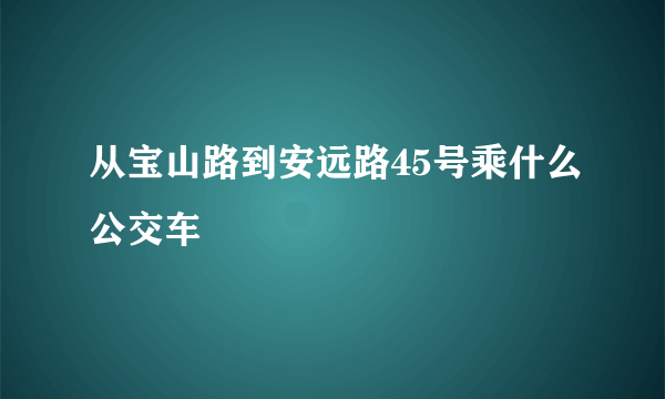 从宝山路到安远路45号乘什么公交车