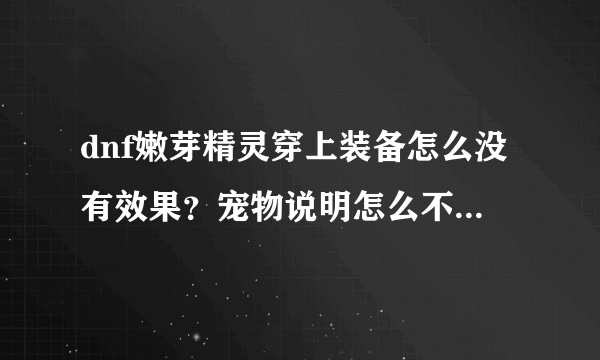 dnf嫩芽精灵穿上装备怎么没有效果？宠物说明怎么不像别人的宠物那样有技能说明？