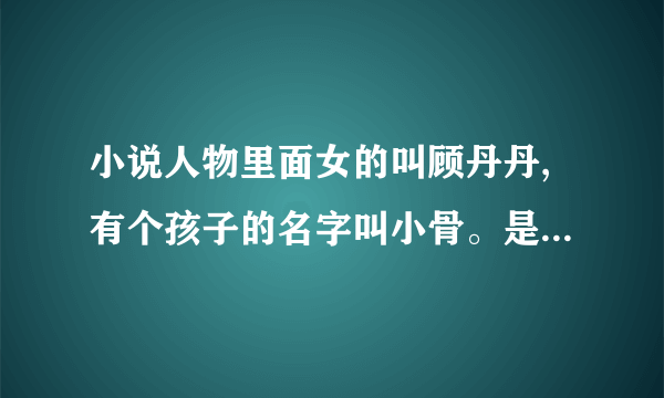 小说人物里面女的叫顾丹丹,有个孩子的名字叫小骨。是什么小说？