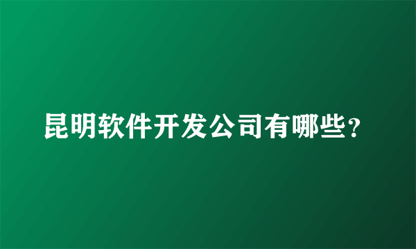 昆明软件开发公司有哪些？