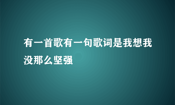 有一首歌有一句歌词是我想我没那么坚强