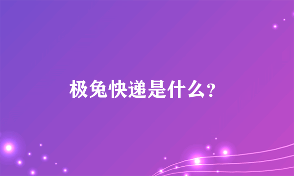 极兔快递是什么？