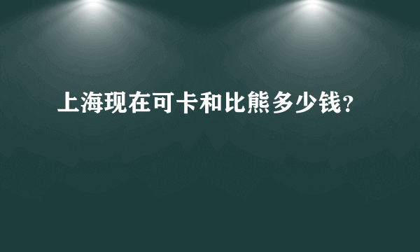 上海现在可卡和比熊多少钱？