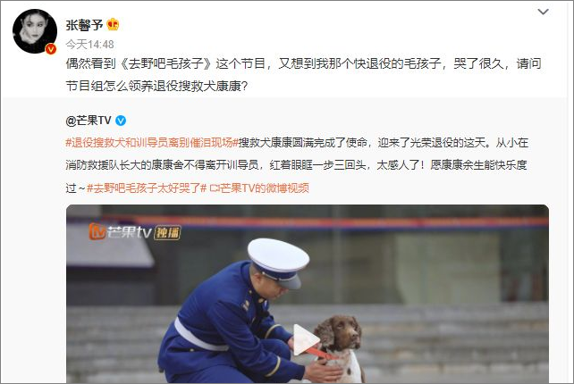 张馨予问怎么领养退役搜救犬康康