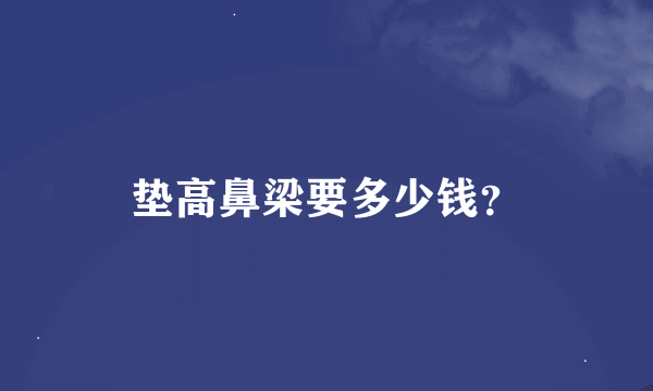 垫高鼻梁要多少钱？