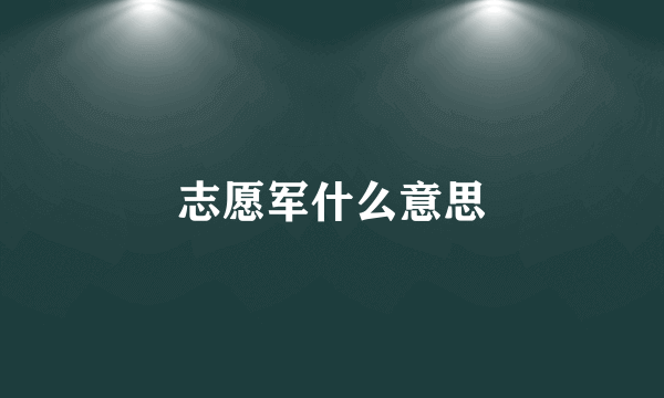 志愿军什么意思