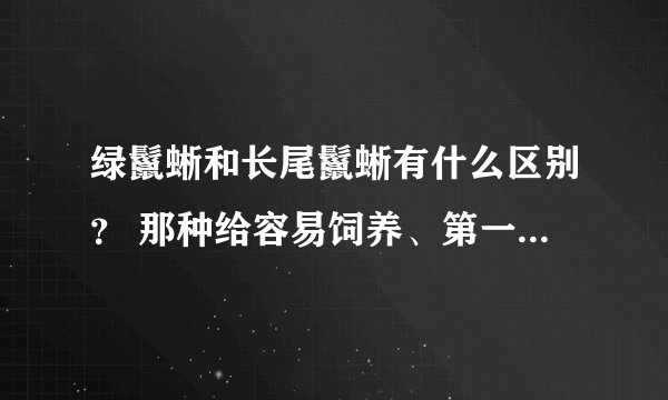 绿鬣蜥和长尾鬣蜥有什么区别？ 那种给容易饲养、第一次养爬行动物应该养哪种蜥蜴？