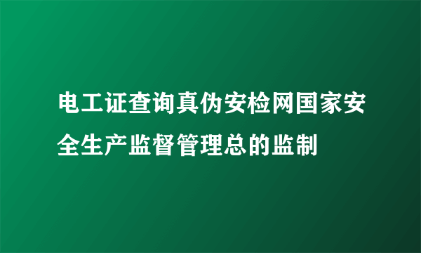 电工证查询真伪安检网国家安全生产监督管理总的监制