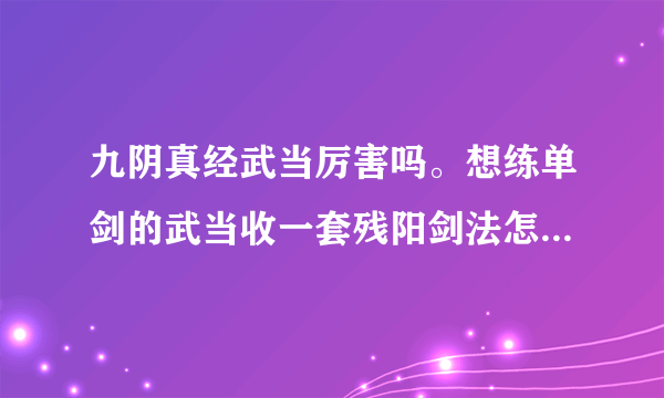 九阴真经武当厉害吗。想练单剑的武当收一套残阳剑法怎样。pk副本都说下