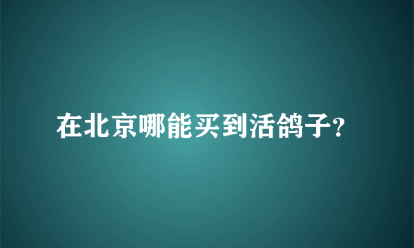 在北京哪能买到活鸽子？