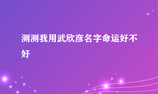 测测我用武欣彦名字命运好不好