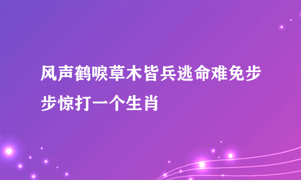 风声鹤唳草木皆兵逃命难免步步惊打一个生肖