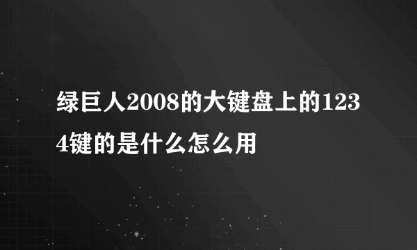 绿巨人2008的大键盘上的1234键的是什么怎么用