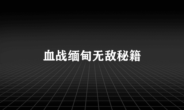 血战缅甸无敌秘籍