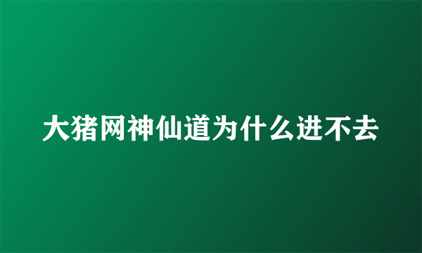 大猪网神仙道为什么进不去