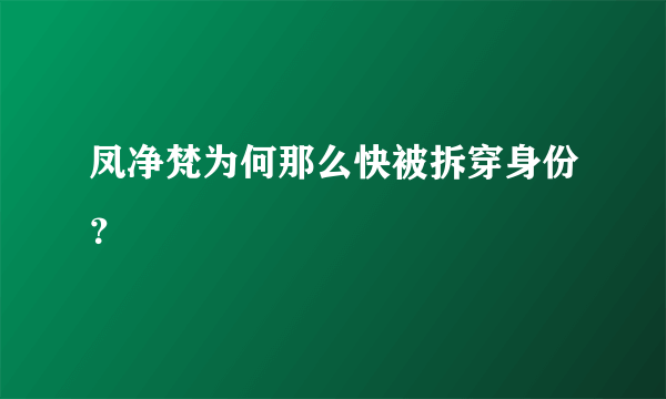 凤净梵为何那么快被拆穿身份？