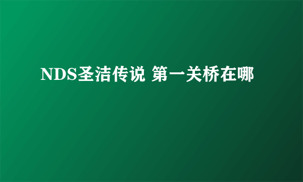 NDS圣洁传说 第一关桥在哪