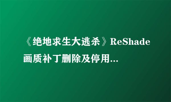 《绝地求生大逃杀》ReShade画质补丁删除及停用方法 ReShade怎么删除