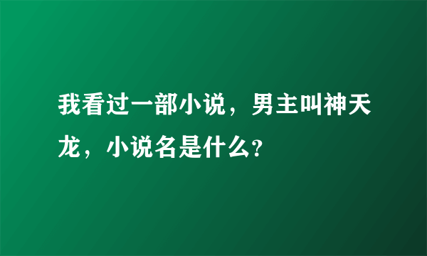 我看过一部小说，男主叫神天龙，小说名是什么？