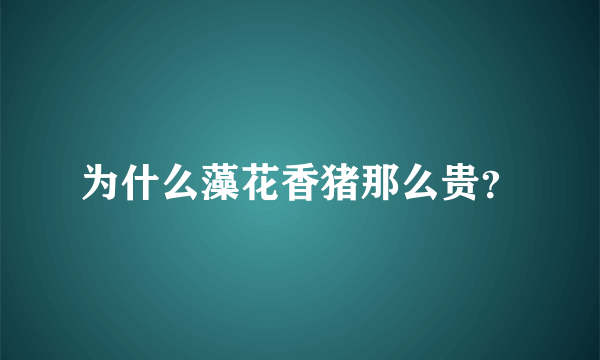 为什么藻花香猪那么贵？