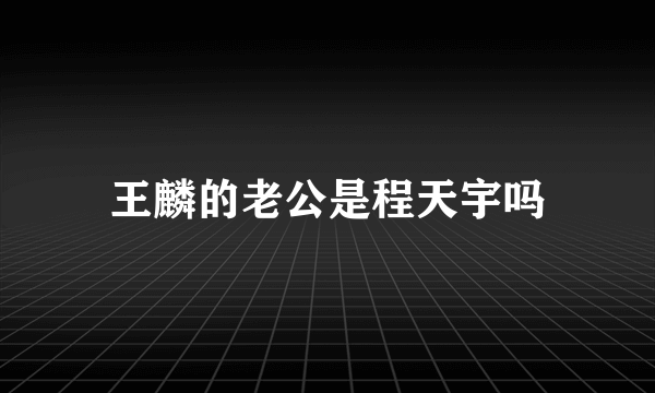 王麟的老公是程天宇吗