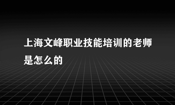 上海文峰职业技能培训的老师是怎么的