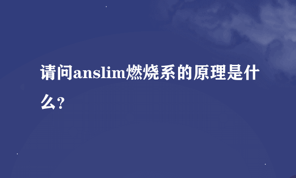 请问anslim燃烧系的原理是什么？