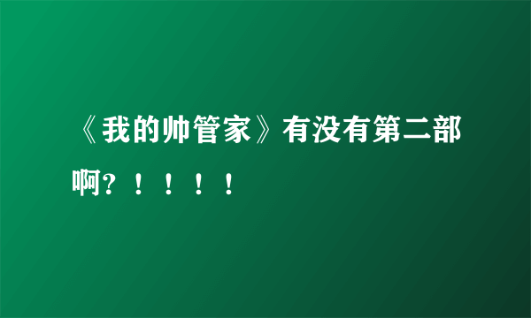 《我的帅管家》有没有第二部啊？！！！！