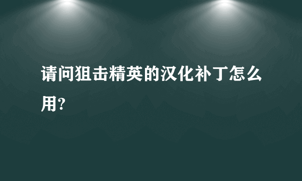 请问狙击精英的汉化补丁怎么用?