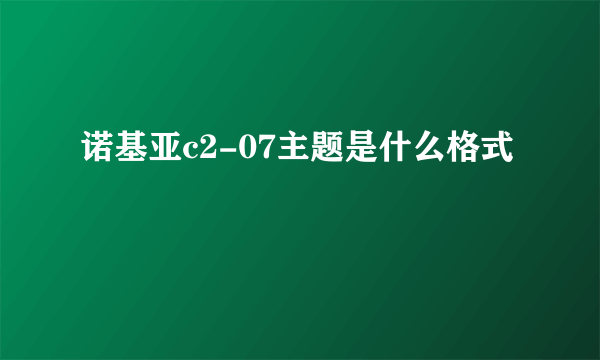 诺基亚c2-07主题是什么格式