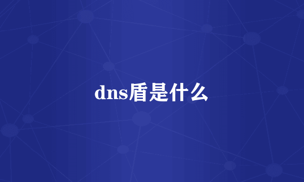 dns盾是什么