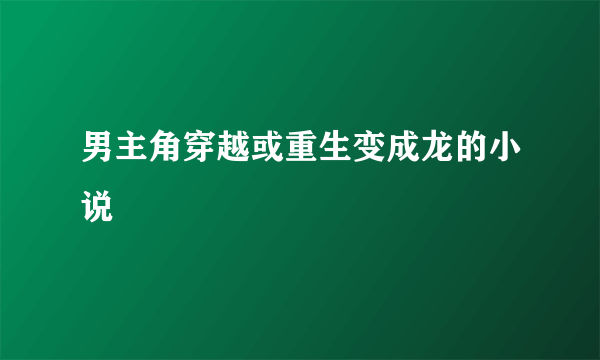 男主角穿越或重生变成龙的小说