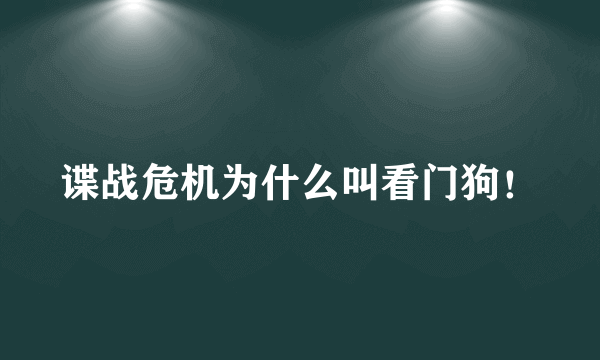 谍战危机为什么叫看门狗！