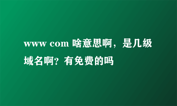 www com 啥意思啊，是几级域名啊？有免费的吗