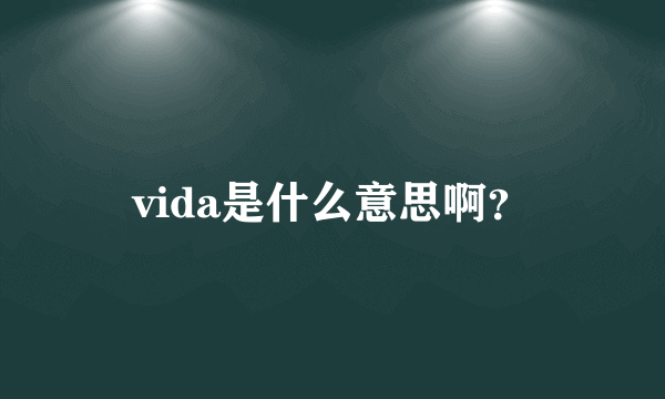 vida是什么意思啊？