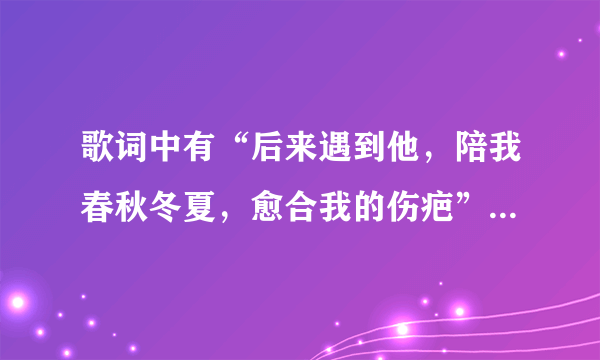 歌词中有“后来遇到他，陪我春秋冬夏，愈合我的伤疤”是什么歌曲？