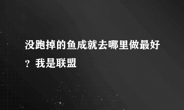 没跑掉的鱼成就去哪里做最好？我是联盟