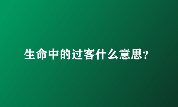 生命中的过客什么意思？