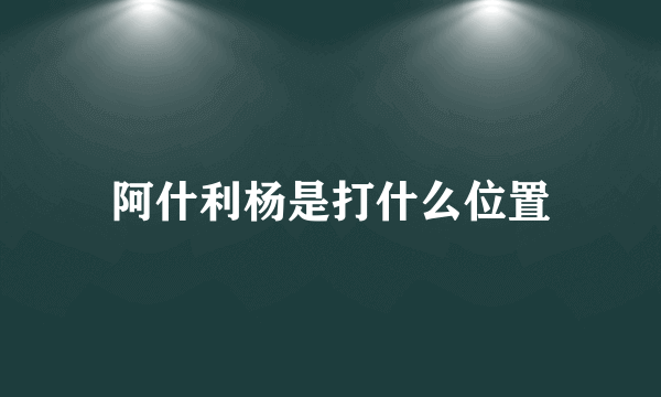 阿什利杨是打什么位置