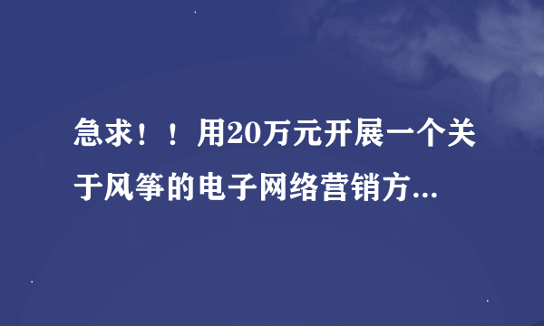 急求！！用20万元开展一个关于风筝的电子网络营销方案，感激不尽！