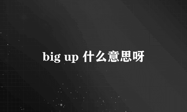 big up 什么意思呀