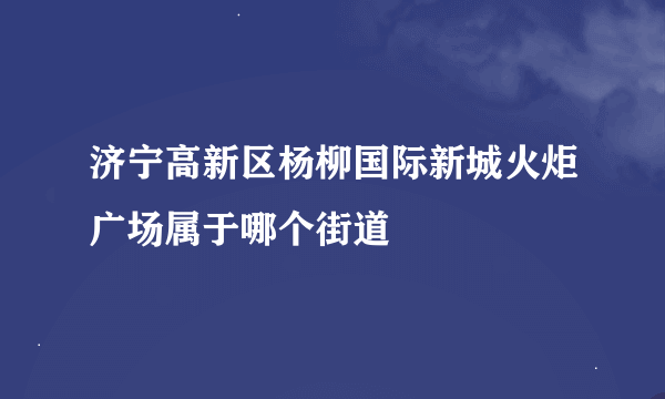 济宁高新区杨柳国际新城火炬广场属于哪个街道