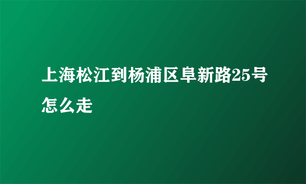 上海松江到杨浦区阜新路25号怎么走