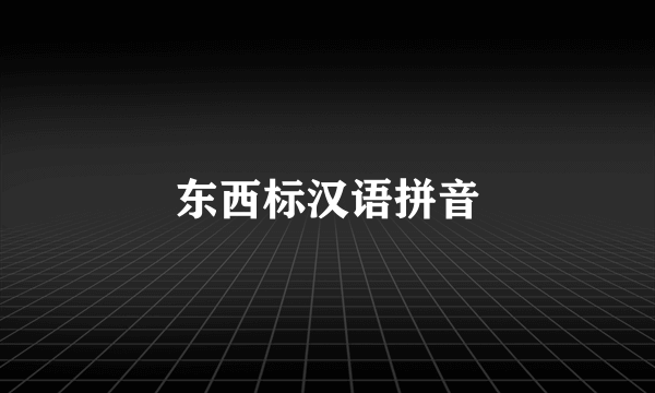 东西标汉语拼音