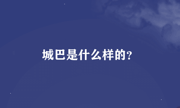 城巴是什么样的？