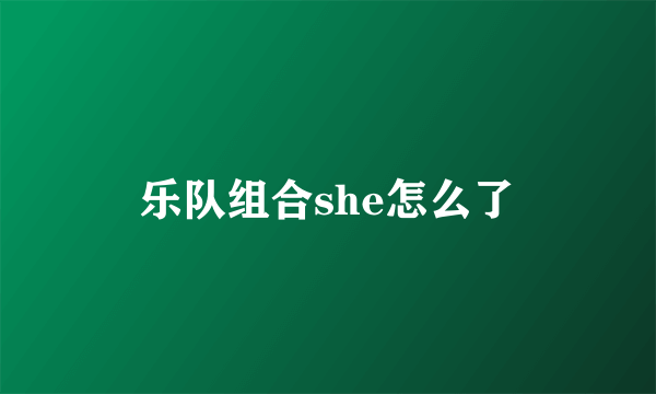 乐队组合she怎么了